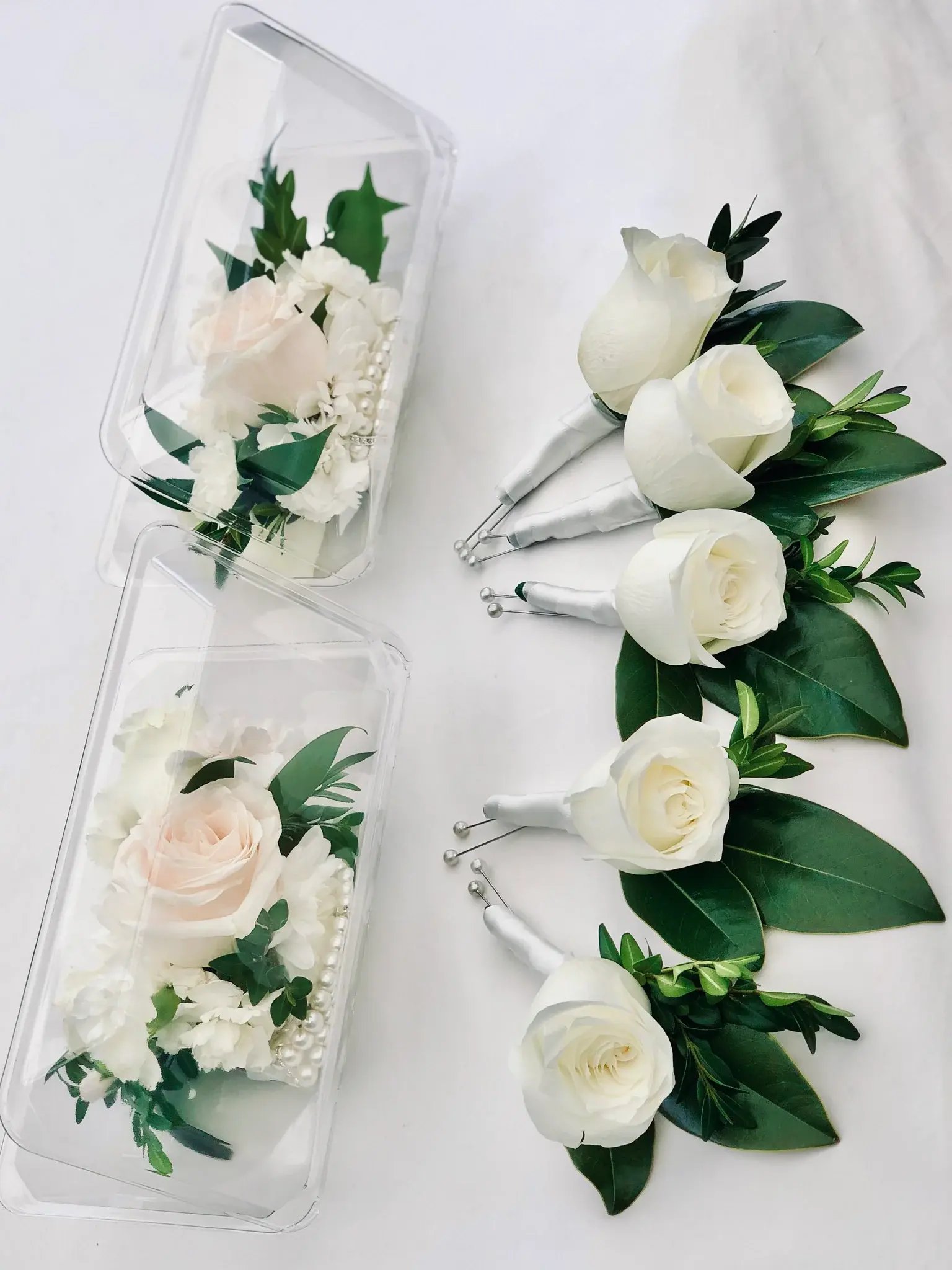 467814BE-5731-422B-ADC0-70B82215D394_1024x1024@2x