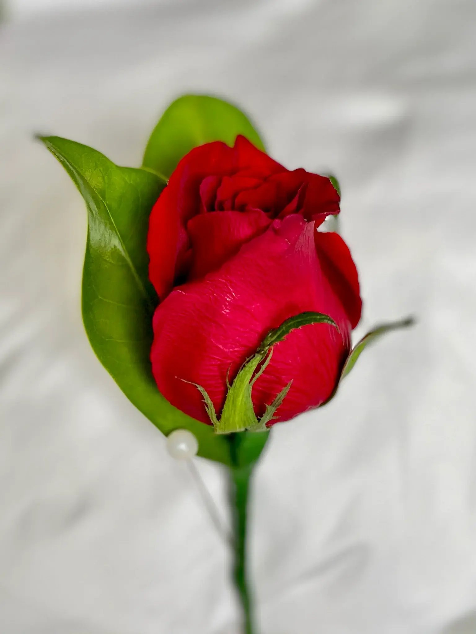 D9E5EE2A-CC22-42C2-9953-A30203C427E3_1024x1024@2x